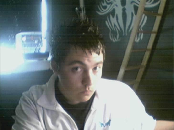 Mand Steffan billede 5