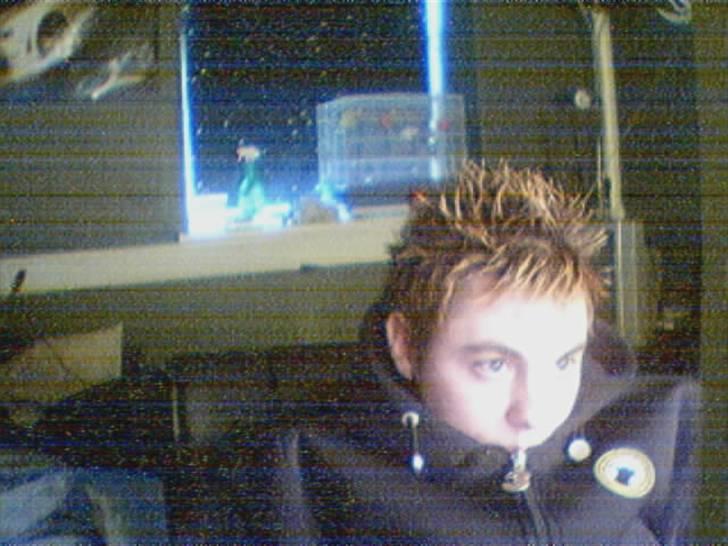 Mand Steffan billede 7