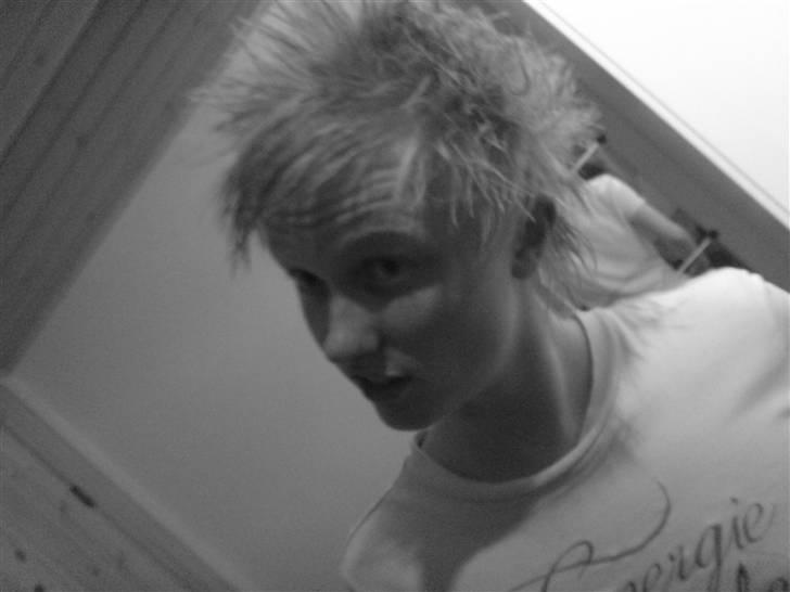 Mand Daniel billede 1
