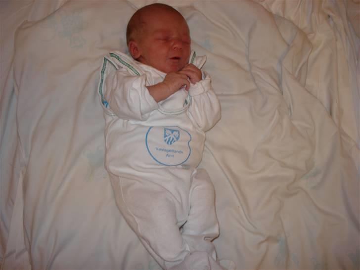 Kvinde Sabrina billede 13