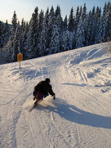 Mand Martin Pedersen billede 4