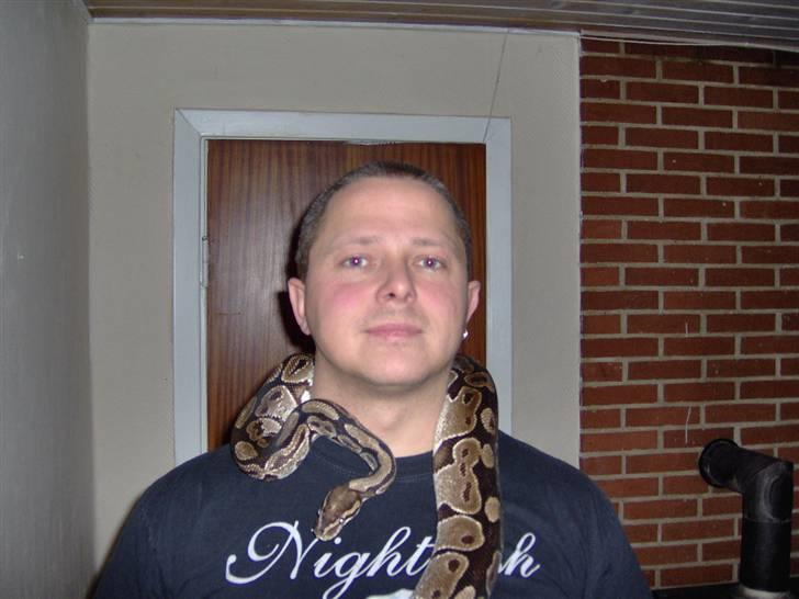 Mand pølle billede 4