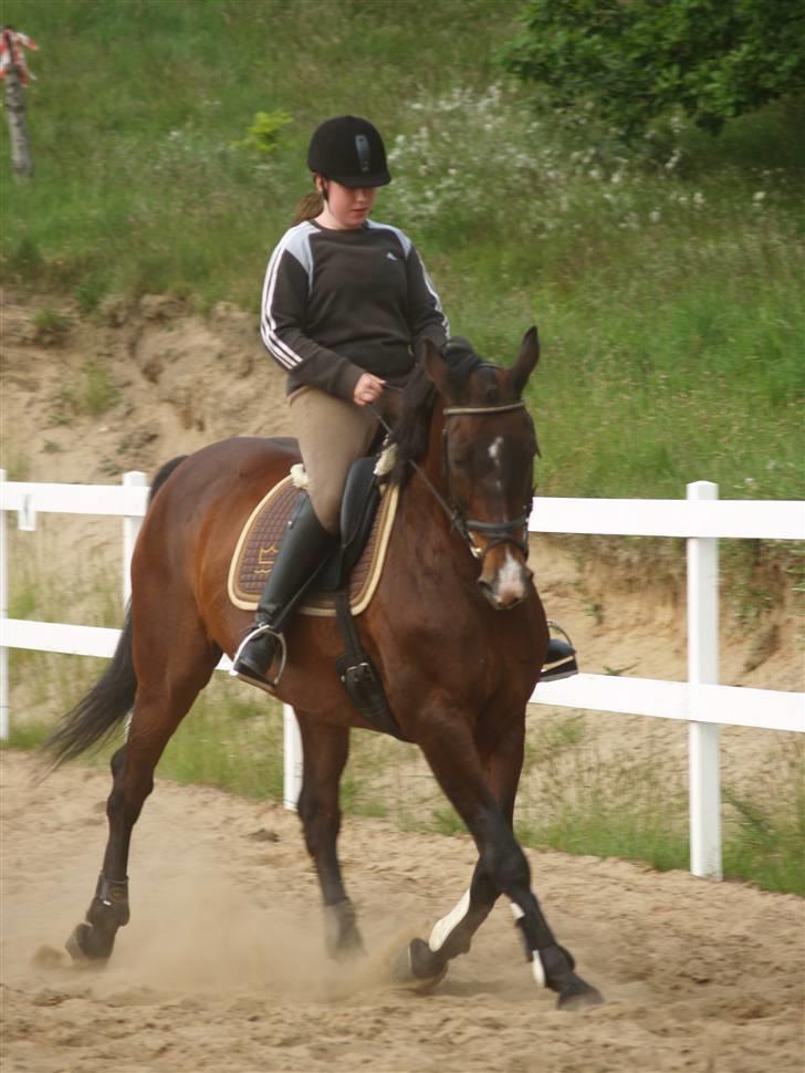 Kvinde Henriette - mig og min lille hest :D  billede 13