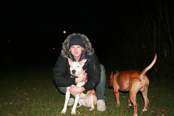 Mand Q - Angel og jeg.. billede 3