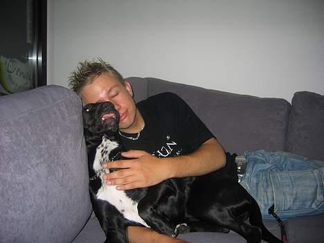 Mand Brian - lidt stiv tilstand billede 5