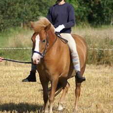 Kvinde Charlotte Berwald