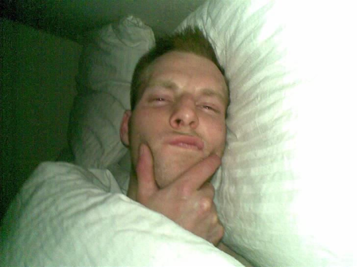 Mand skovmusen - efter morgen fodring kl 4.37 .. kæft man er træt .. skulle man ligge sig til at  sove igen .. ja det tro jeg nok på .. sov godt .. billede 11