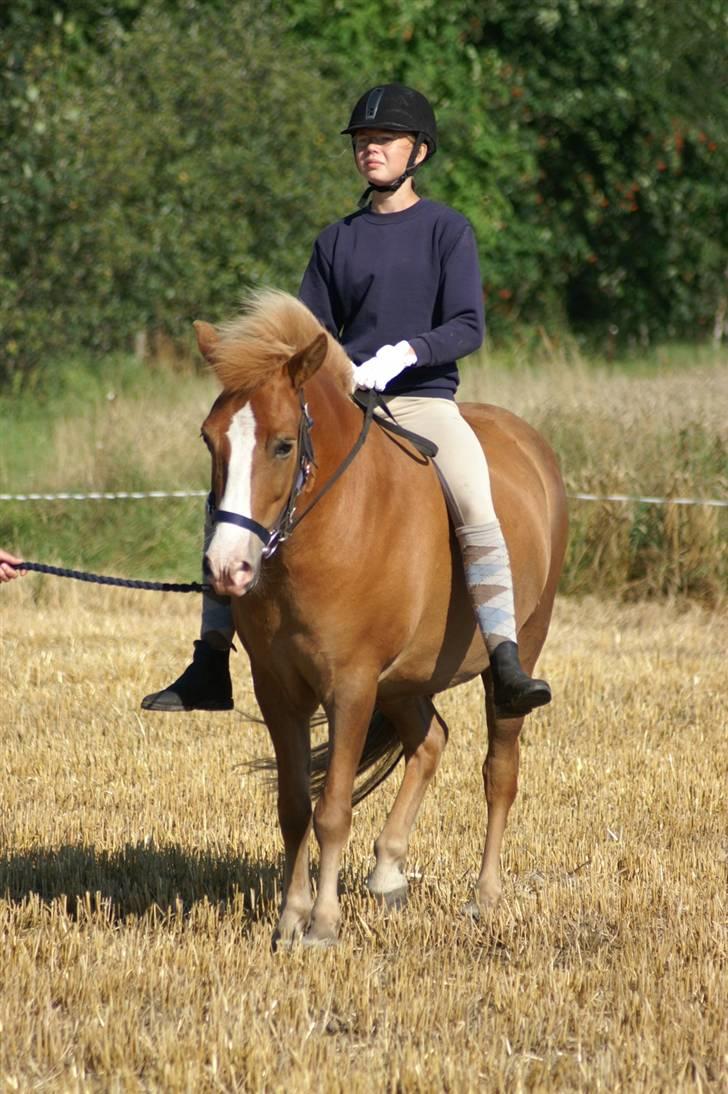 Kvinde Charlotte Berwald - Mig & Ganti billede 3