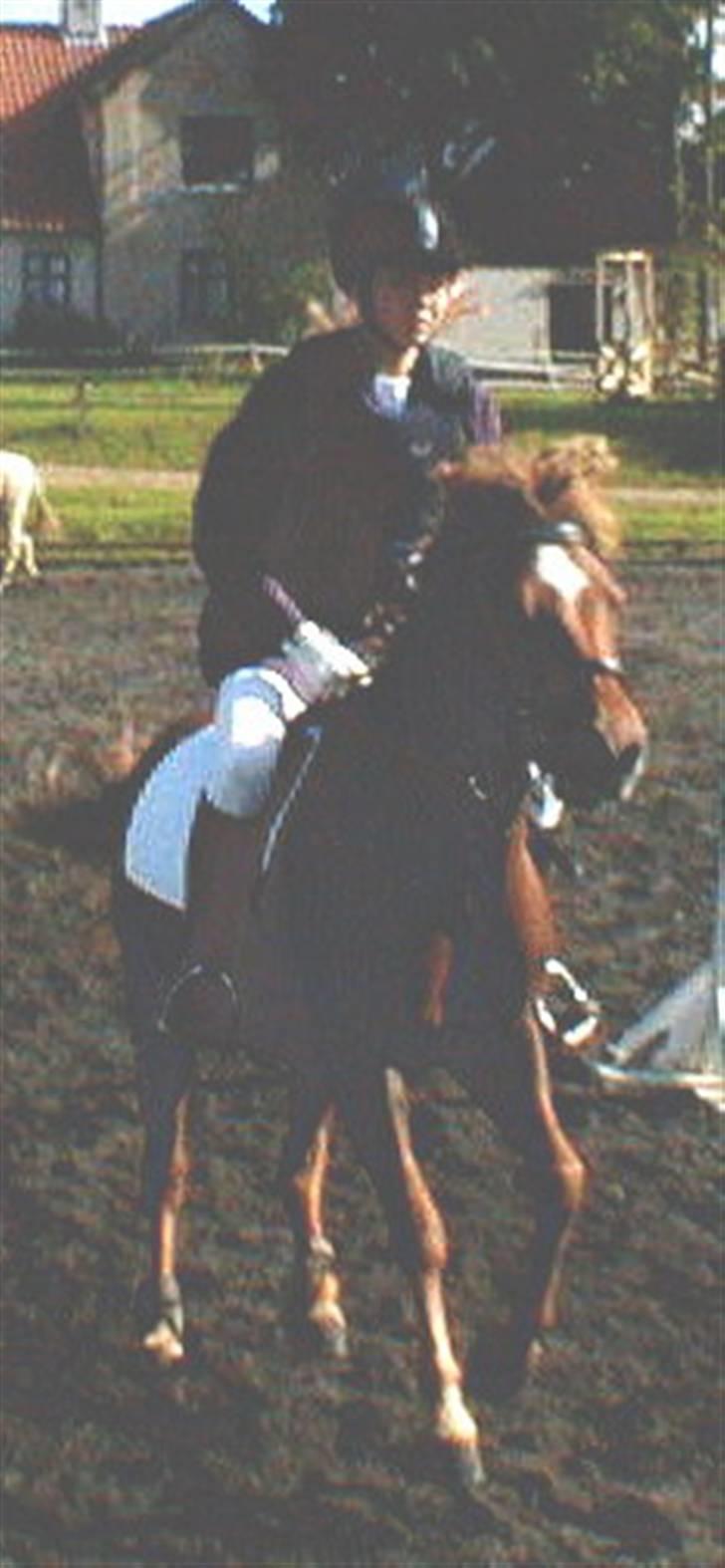 Kvinde Charlotte Berwald - Mig & Flippa billede 5