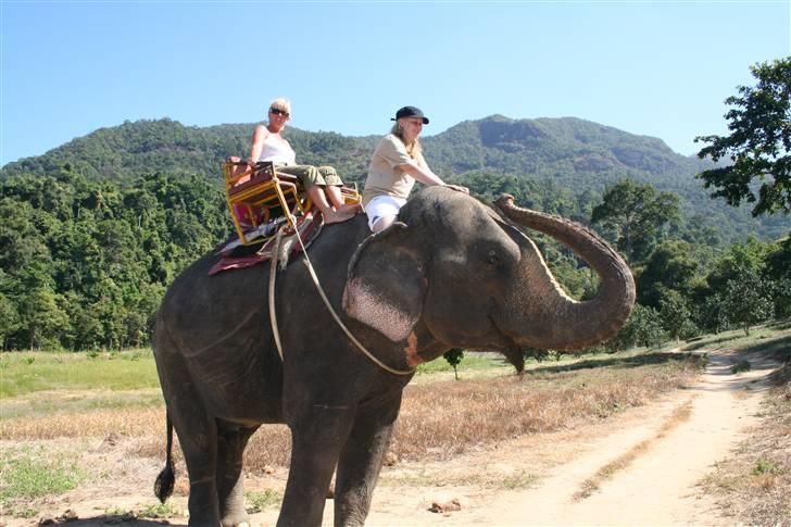 Kvinde Fie - Thailand november 2007 mig førest billede 7