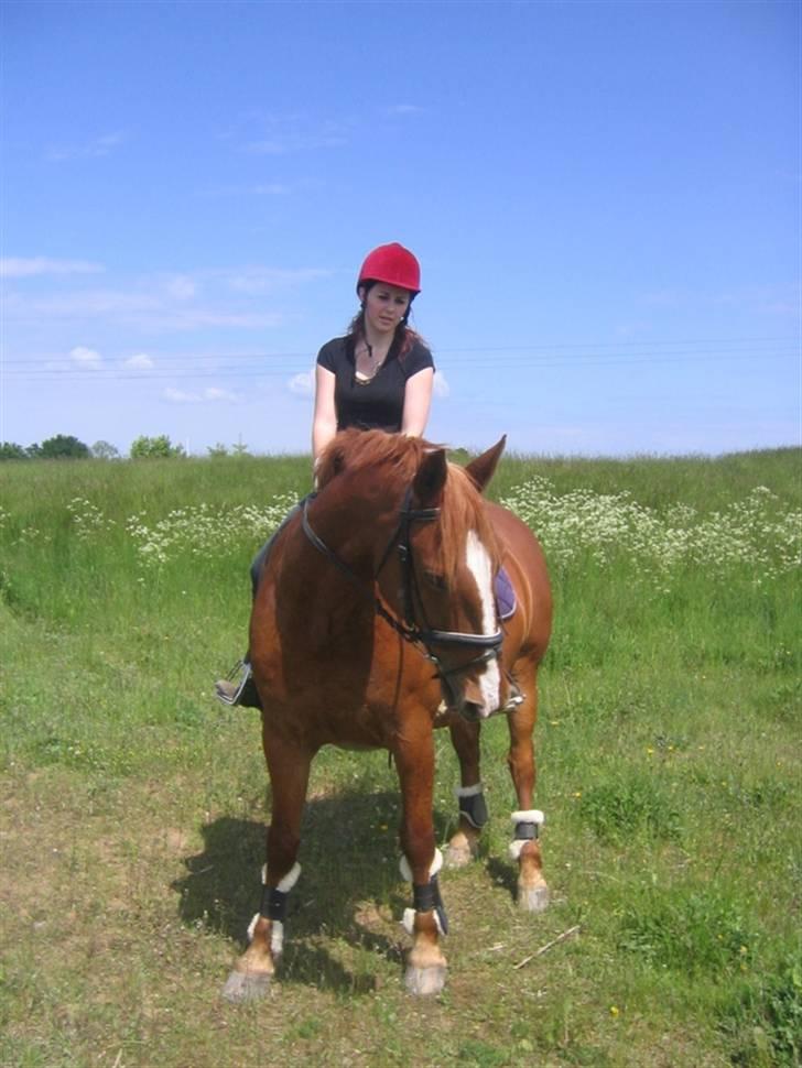 Kvinde Helene billede 6