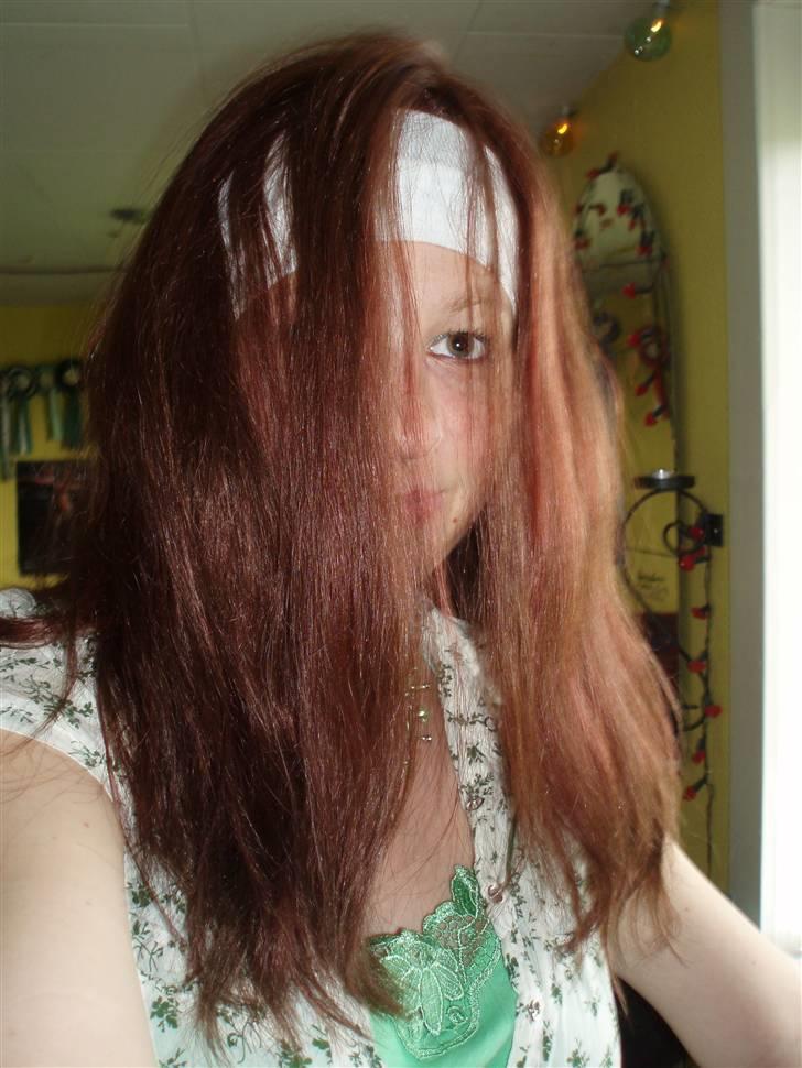 Kvinde Frk. Christiansen billede 7