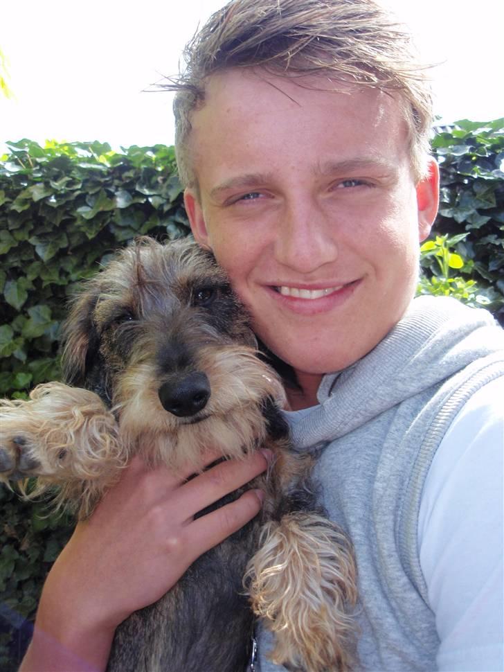 Mand Martin Wp billede 4