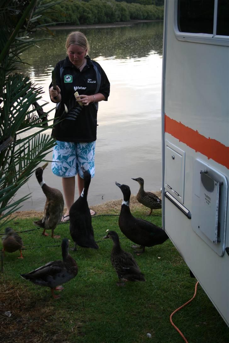 Kvinde Fie - Jaa.. mig i noget meget afslappet kluns fodre ænder , new zealand  februar 2007 billede 12