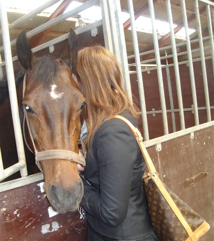 Kvinde Trine billede 11