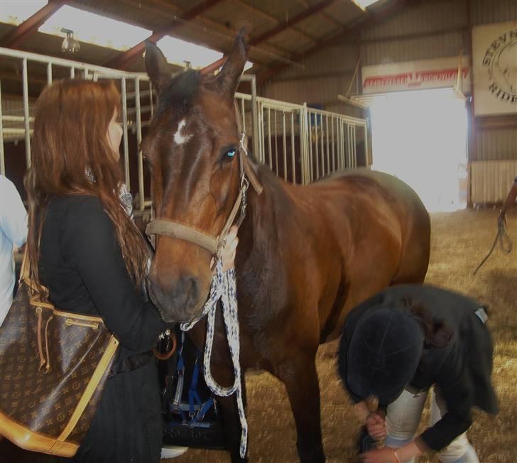 Kvinde Trine billede 12