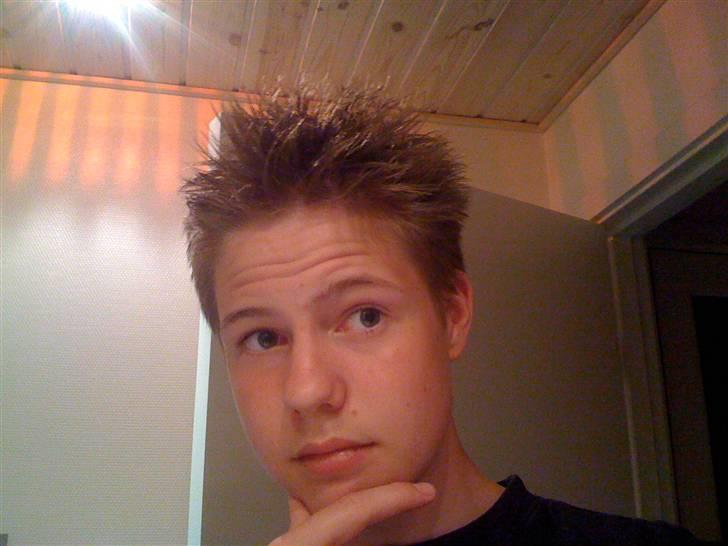 Mand Peter billede 2