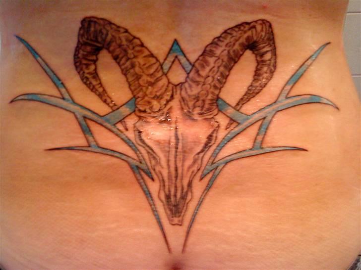 Kvinde TAZ -  min nye lænde tatoo  ;-) billede 19