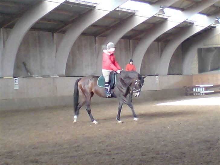 Kvinde Dorthe billede 5