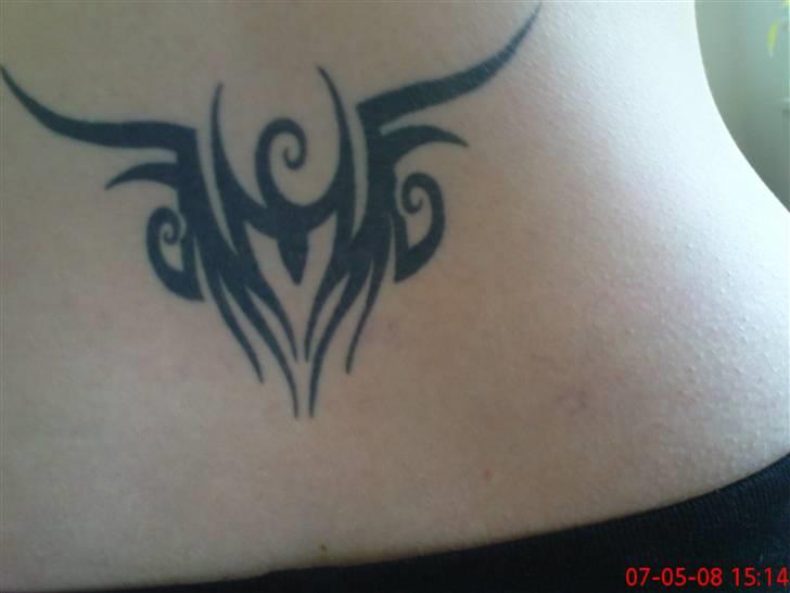 Kvinde Dorthe billede 6