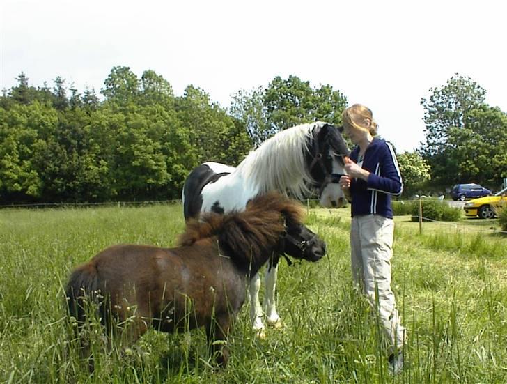 Kvinde tina - mig og hypperne... billede 4