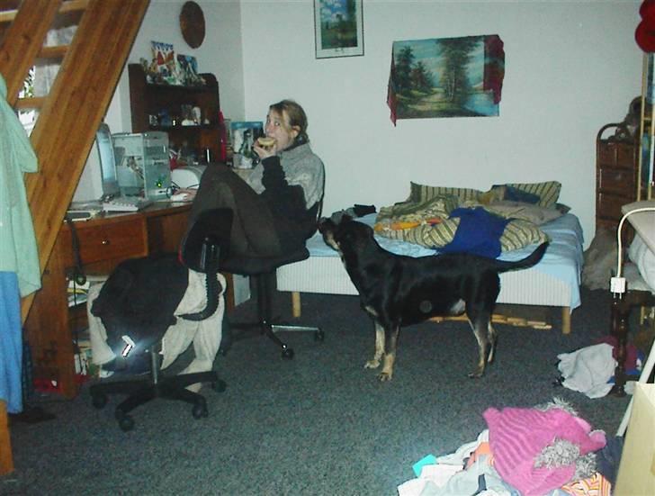 Kvinde tina - min hund vil ha min mad... billede 5