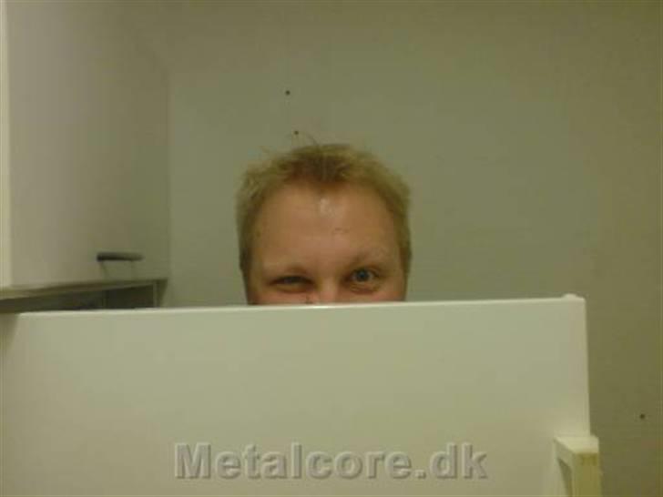Mand Sievind billede 2