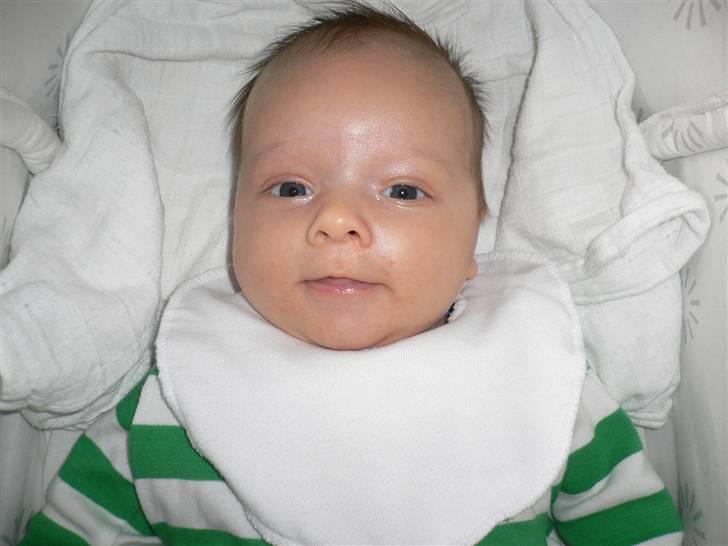 Mand Rune B.M. - Min Søn William født den 7 april 2008 billede 15
