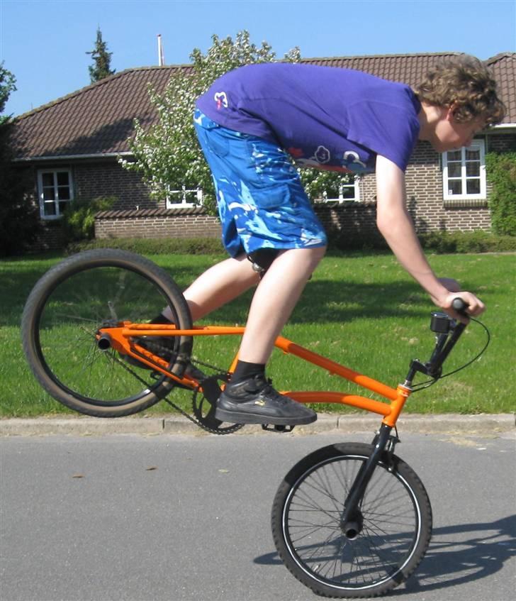 Mand nikolaj billede 3