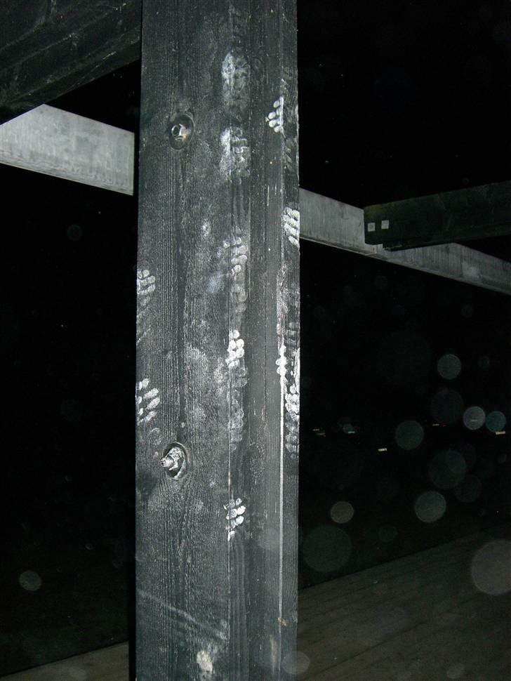 Mand Casper billede 4