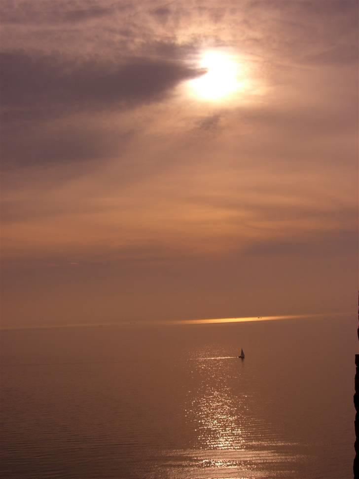 Mand Casper - taget oppe fra hammershus:) billede 8