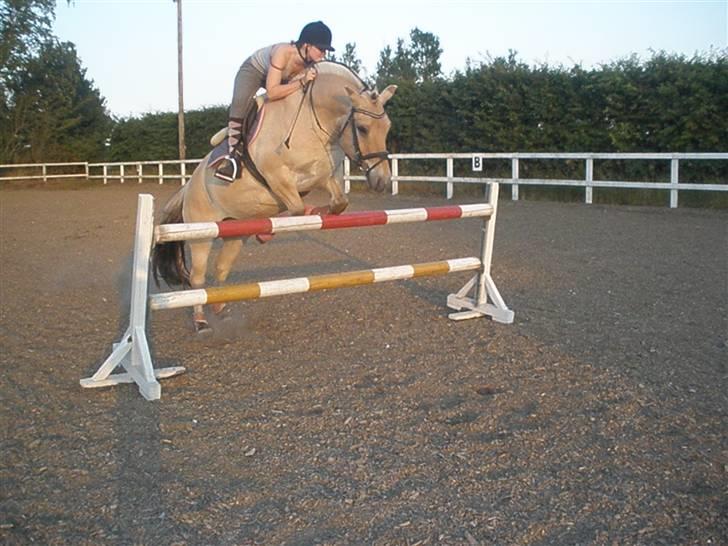 Kvinde Line Andersen - Det er mig og min pony <3 den ses også på HG :)  billede 7