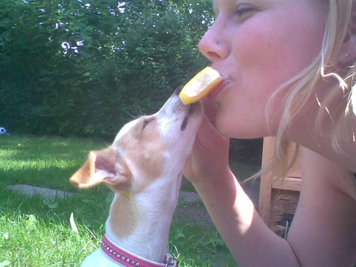 Kvinde Maibritt - Mig og fifi spiser is i haven;) billede 2