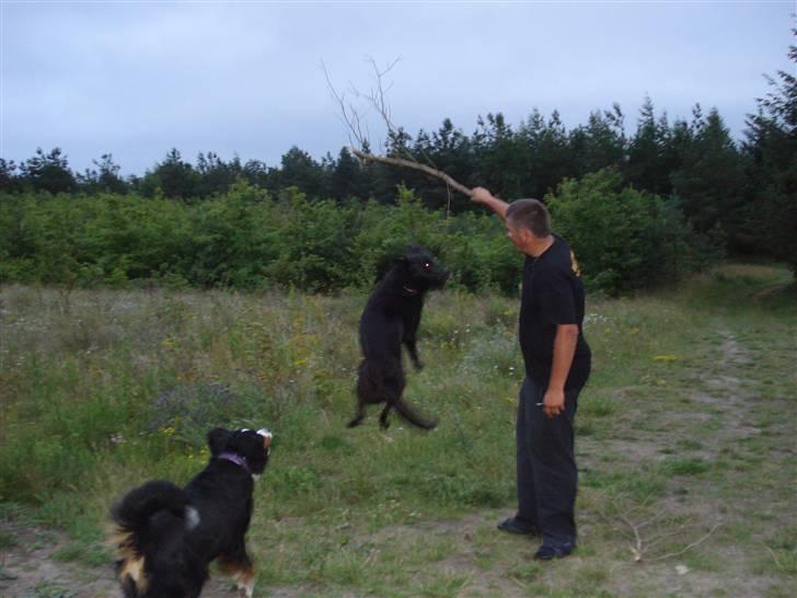 Mand Navnet er tophemmeligt billede 11