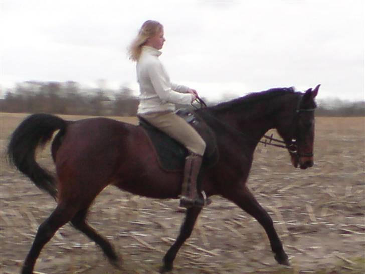 Kvinde sarah-ann - mig og min sport billede 15