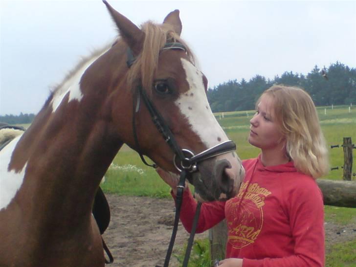 Kvinde sarah-ann - min hest og jeg billede 16