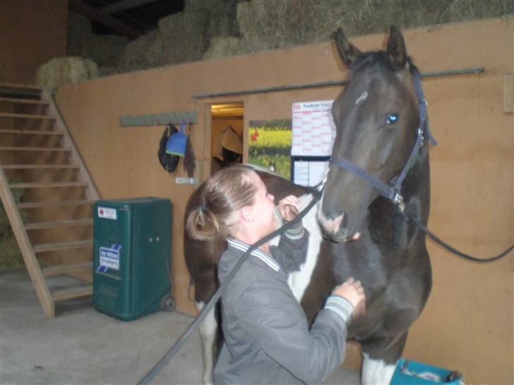 Kvinde Maria - Min nye baby hest :-) billede 15