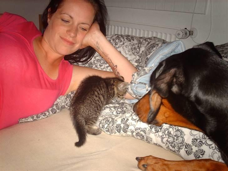 Kvinde Louise Brix - Missen Katja og vovsen Ana-bol. billede 15