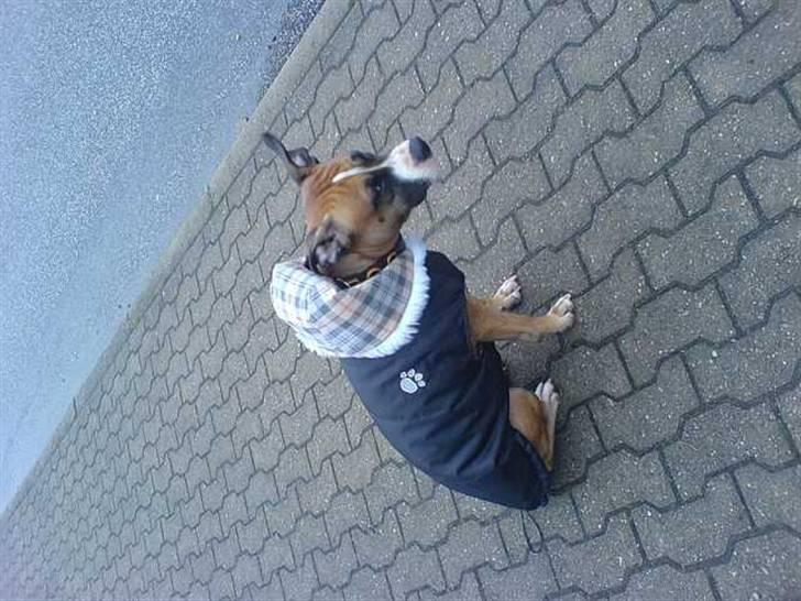 Kvinde Tanja - Fryser altså lidt om vinteren billede 10