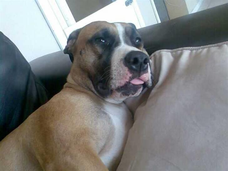 Kvinde Tanja - Det er hårdt at være Rynke... snork billede 11