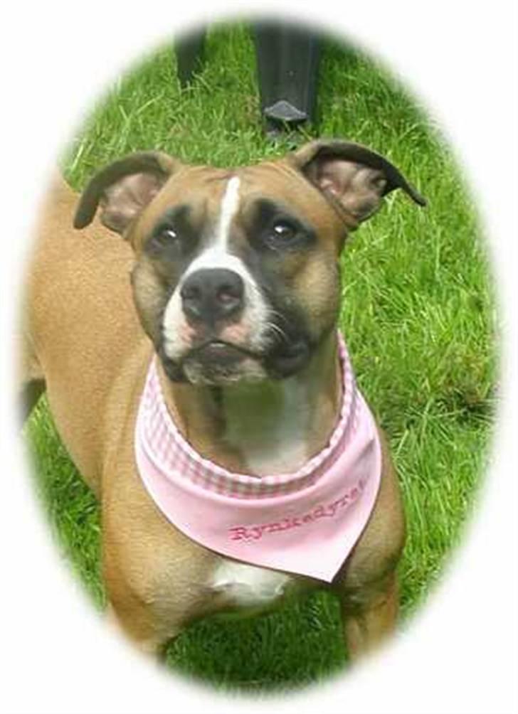 Kvinde Tanja - Rynke med hendes fine charme klud som hun har fået af hendes mormor :-D billede 12