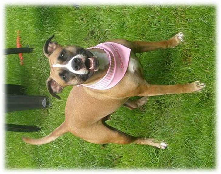 Kvinde Tanja - Er jeg ikke bare for lækker???? billede 14