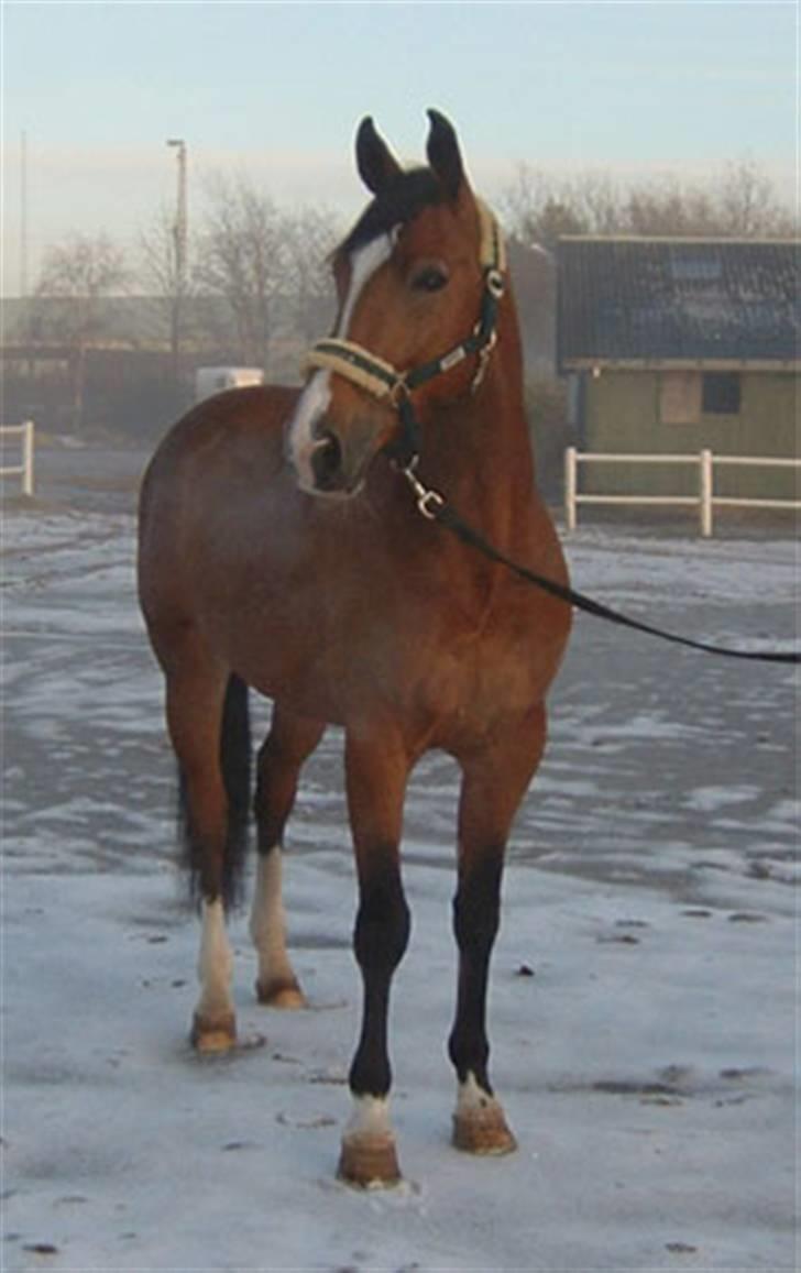 Kvinde Tanja - Uhh det er da koldt uden dækken på billede 18