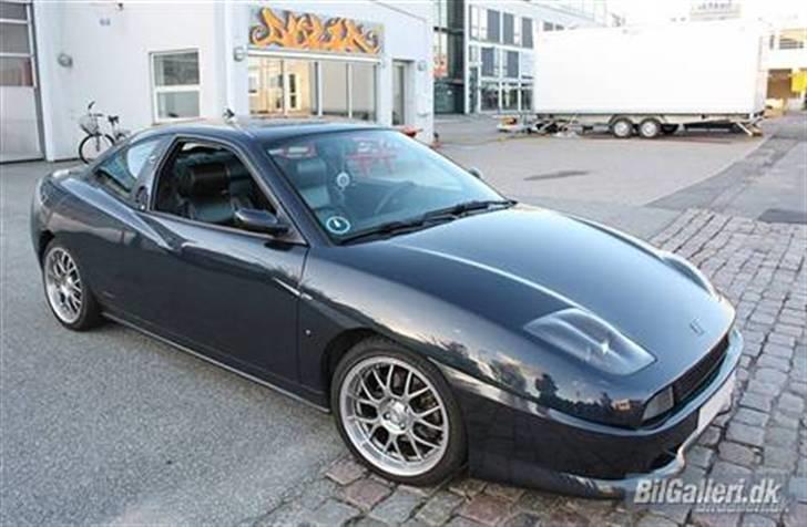 Mand D.N.A 84 billede 15