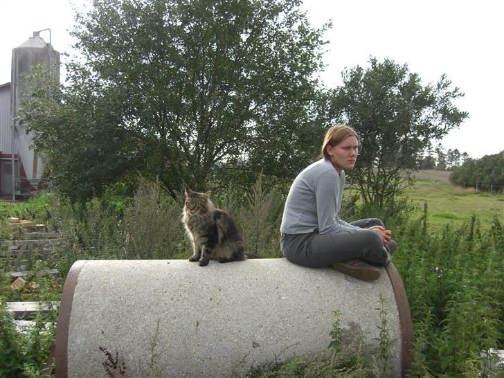 Kvinde Nannepigen - Sidder og kigger på mine skønne krikker sammen med staldens katte :) billede 6
