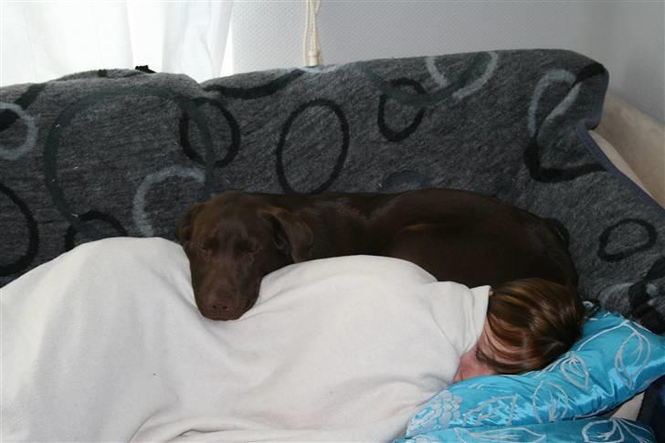 Kvinde Josefine billede 3