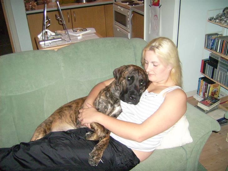 Kvinde malene - mig og min ene hund billede 5