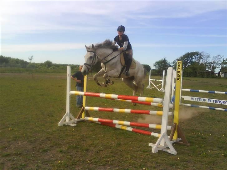 Kvinde Pernille - Mig og min hest Tjalfe billede 4