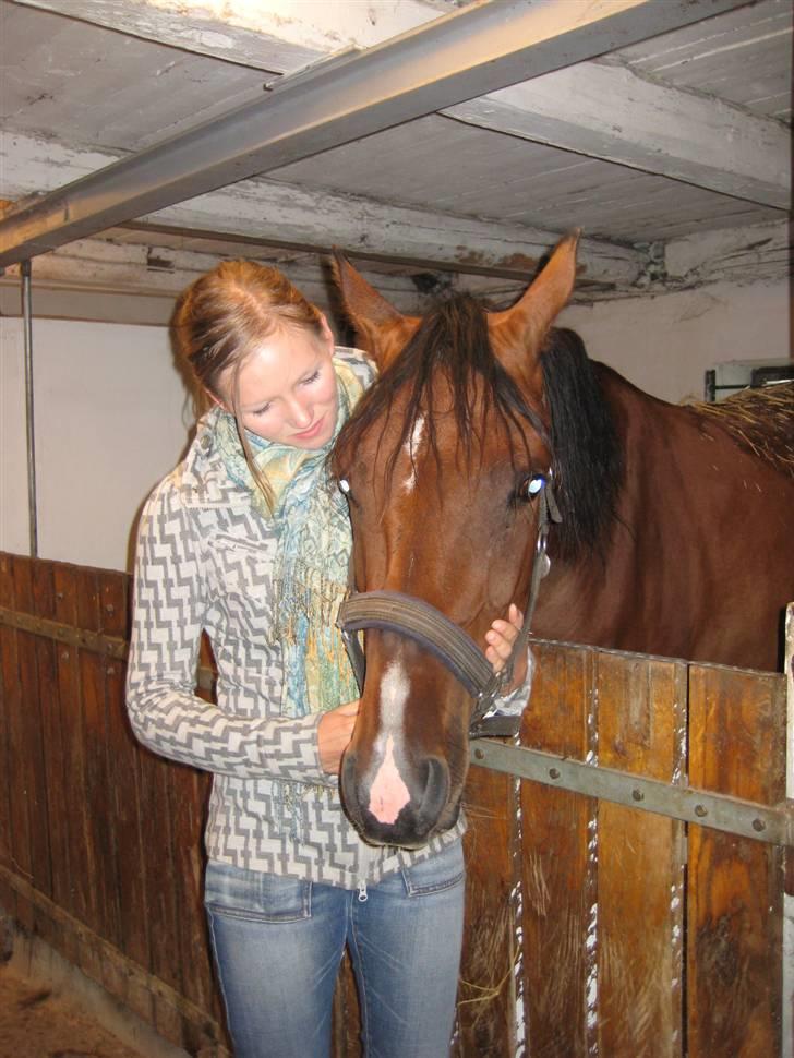 Kvinde Katrine C - Min store hest Caprice og jeg 2008 billede 17