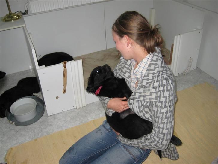 Kvinde Katrine C - Min hundevalp Venus og jeg 2008 billede 19